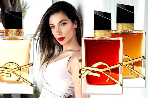 ysl house of fraser|YSL perfumes libre.